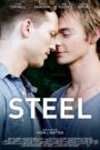 Steel