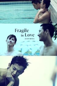 Fragile in Love