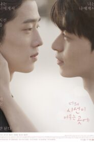 Where Your Eyes Linger: Season 1