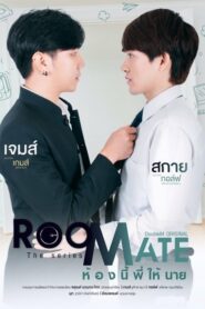 Roommate The Series