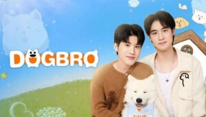 DogBro: 1×1