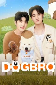 DogBro