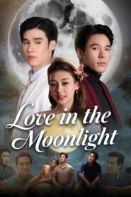 Amor ao Luar [Love In The Moonlight]