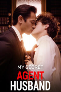 My Secret Agent Husband