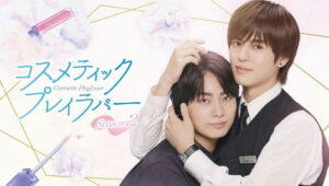 Cosmetic Playlover: 2×2