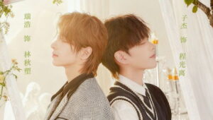 Sculpted Light: 1×2