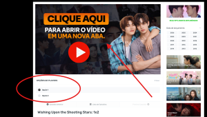 TUTORIAL DE COMO PASSAR PELO PROTETOR E ASSISTIR-ATUALIZADO