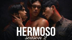 Hermoso: 2×6